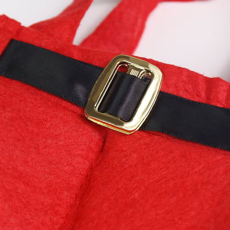 Santa Claus Shorts Gift Bag