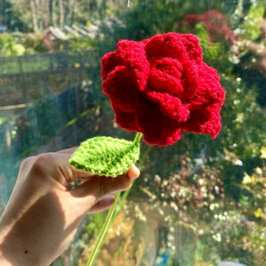 Red Rose
