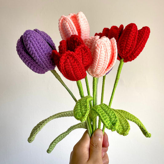 Tulip