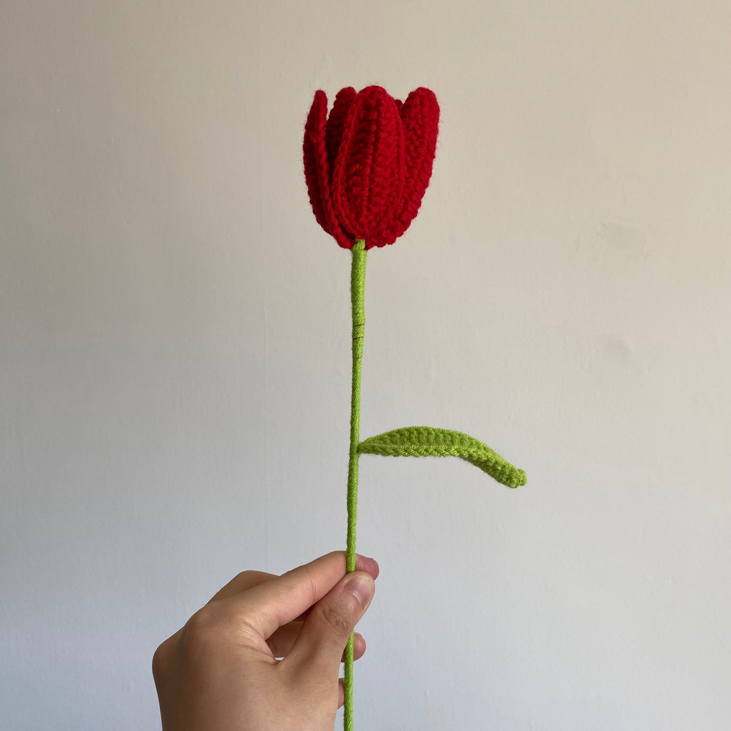 Tulip