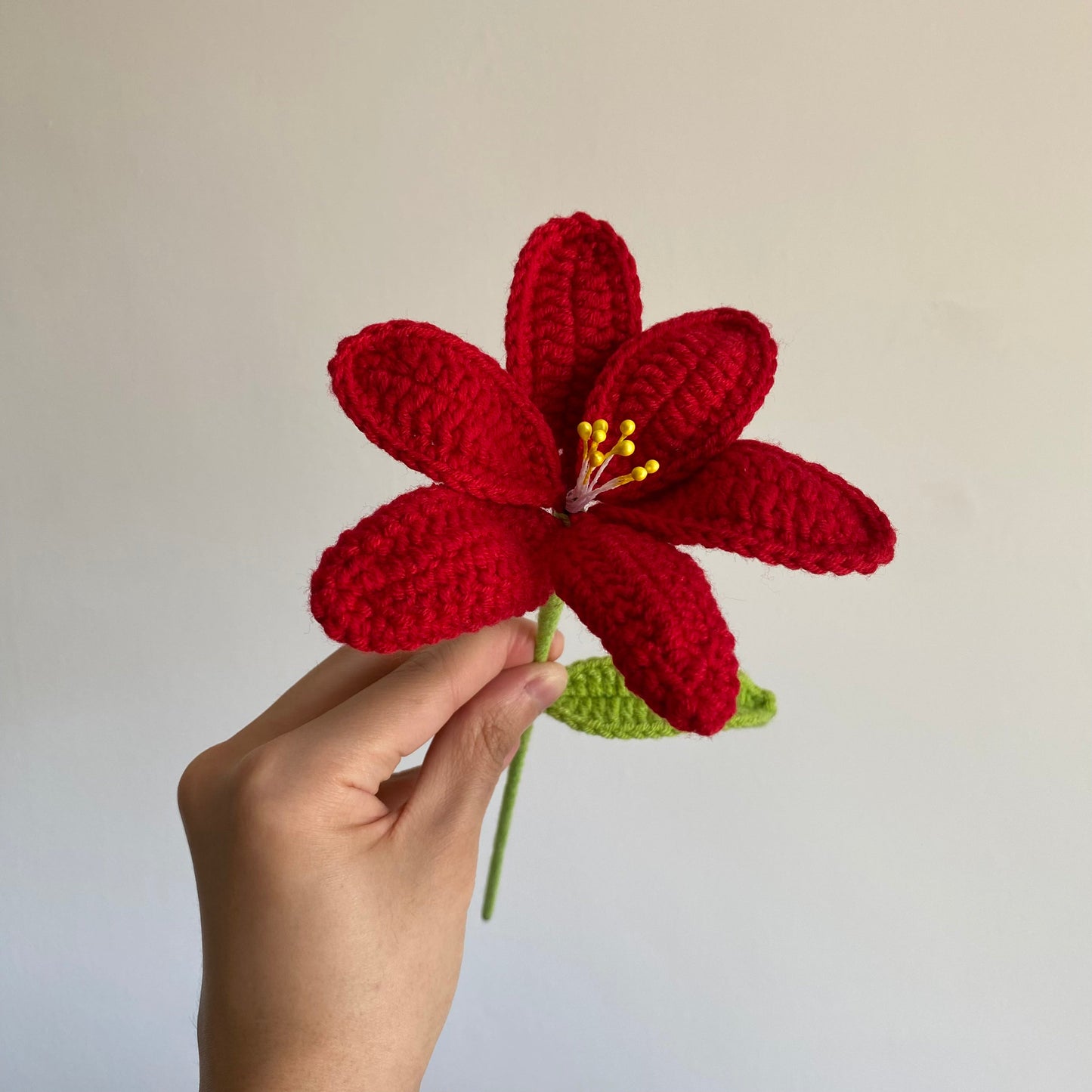 Tulip