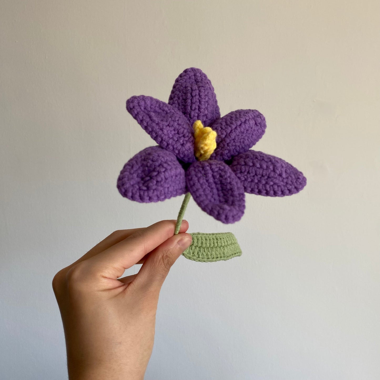 Tulip