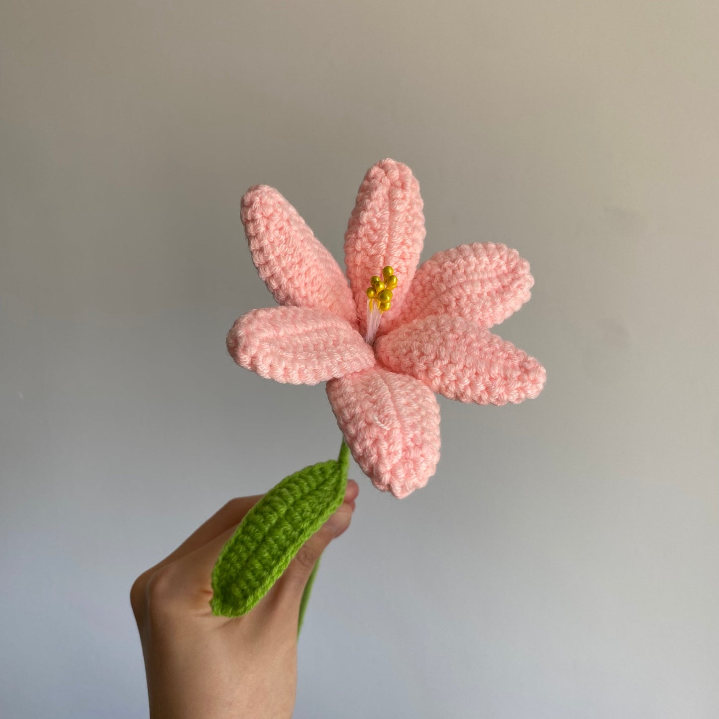 Tulip